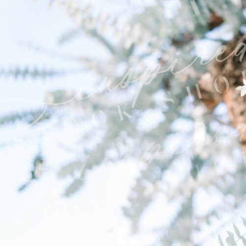 ISS-Lifestyle-a-Life-she-Loved-20